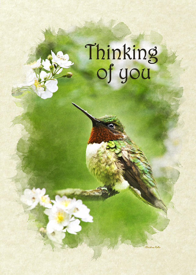Thinking of You Hummingbird Flora Fauna Greeting Card Mixed Media by Christina Rollo