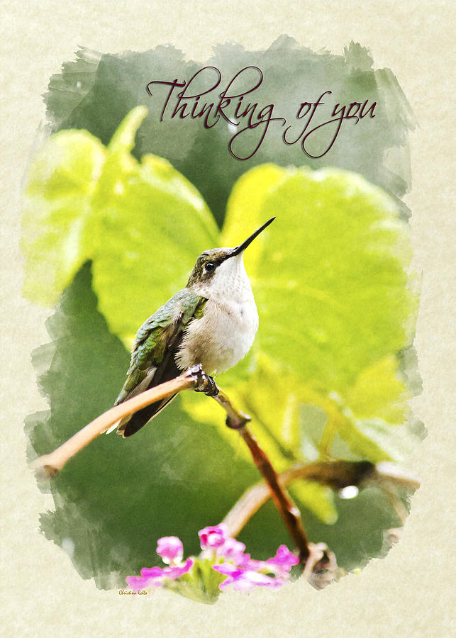 Thinking of You Hummingbird in the Rain Greeting Card Mixed Media by Christina Rollo