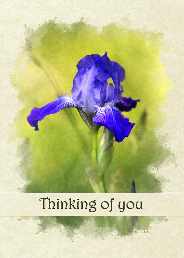 Thinking of You Iris Flower Greeting Card Mixed Media by Christina Rollo
