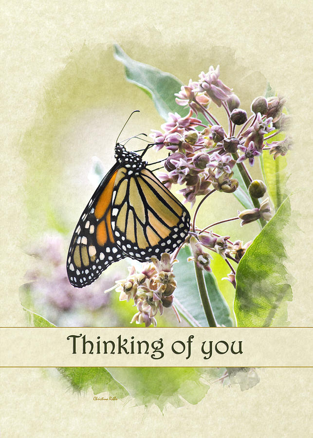 Thinking of You Monarch Butterfly Greeting Card Mixed Media by Christina Rollo