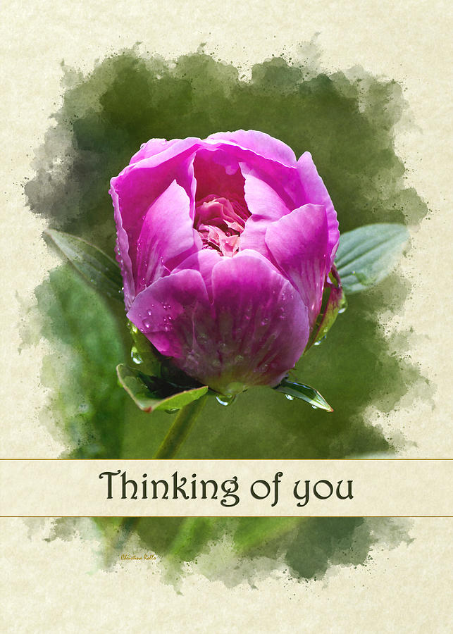 Thinking of You Pink Peony Flower Greeting Card Mixed Media by Christina Rollo
