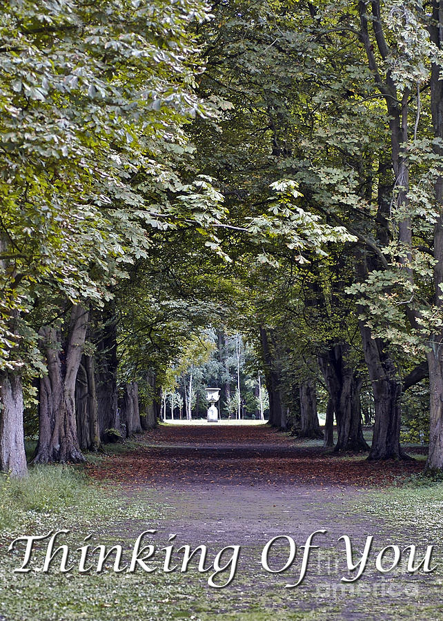 Sorrow Photograph - Thinking Of You Woodland Avenue Greeting Card by Toula Mavridou-Messer Sorrow Photograph - Thinking Of You Woodland Avenue Greeting Card by Toula Mavridou-Messer