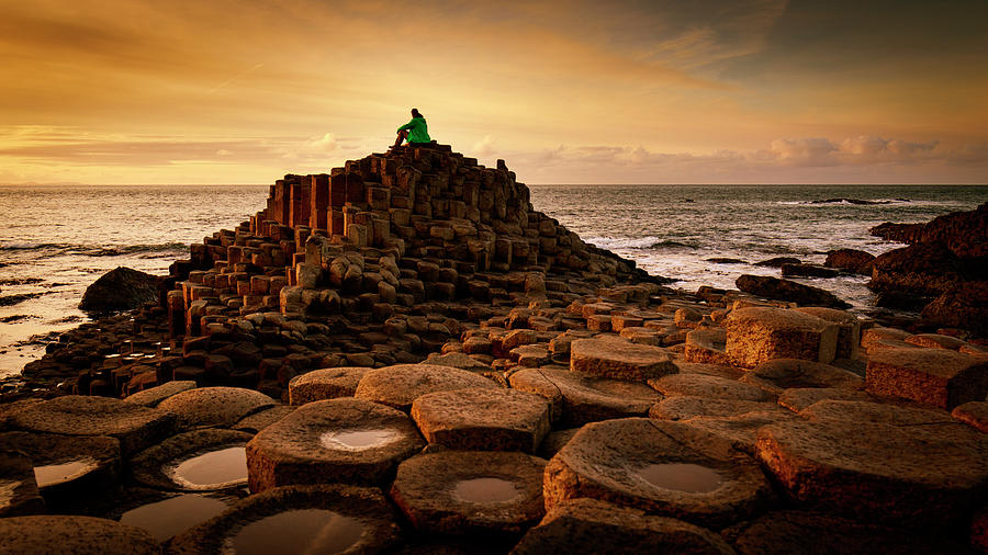 Thinking Throne by Windy Corduroy Thinking Throne by Windy Corduroy