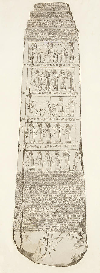 Camel Drawing - Third Side of Obelisk, illustration from Monuments of Nineveh by Austen Henry Layard