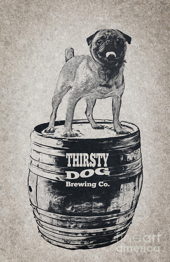 Animal  - Thirsty Dog Brewing Co. Keg by Edward Fielding