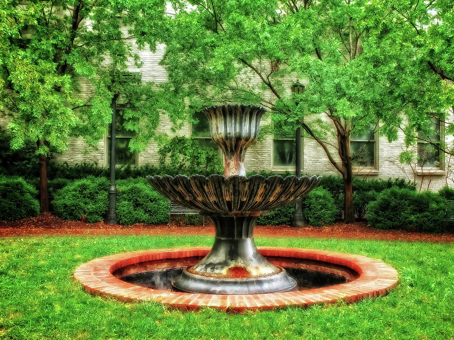 Thirsty Fountain  -  LOUKY812 Photograph by Frank J Benz