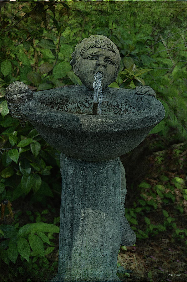 Thirsty Garden Art 2 Photograph by Lesa Fine