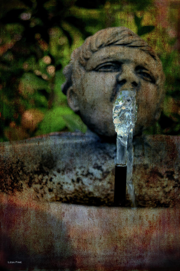 Thirsty Garden Art Photograph by Lesa Fine