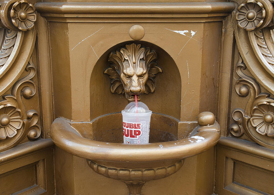 Thirsty Lion Photograph by Erik Burg