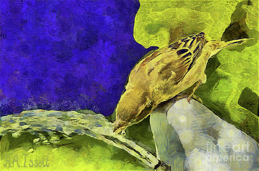 Thirsty Sparrow Digital Art by Humphrey Isselt