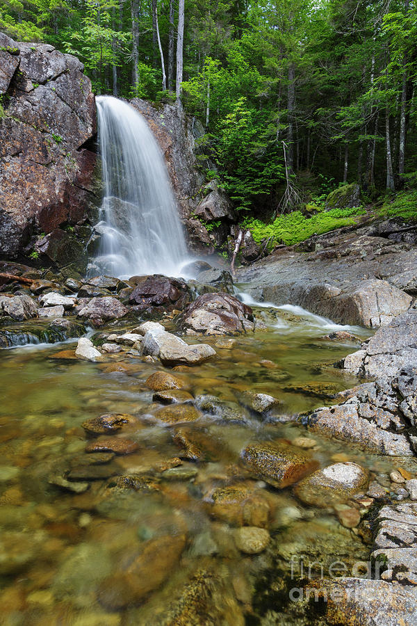Nature Photograph - Thirteen Falls - Pemigewasset Wilderness, New Hampshire by Erin Paul Donovan