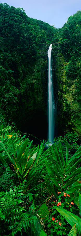 This Is Akaka Falls State Park. The Photograph by Panoramic Images
