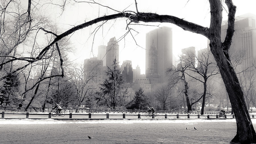 This is Central Park Photograph by Christopher Maxum