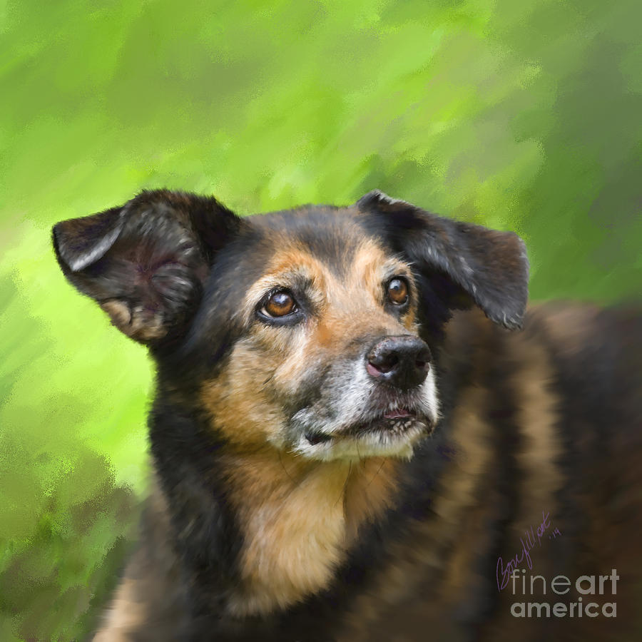 Old Dog Digital Art - This is Stella by Bon and Jim Fillpot