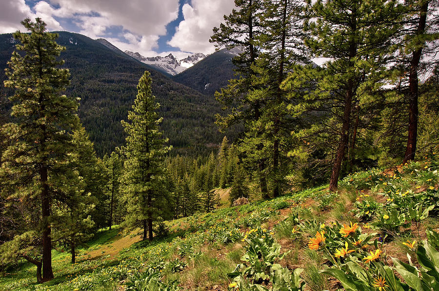 Nature Photograph - This is Washington State No.1 - Klipchuck by Paul W Sharpe Aka Wizard of Wonders