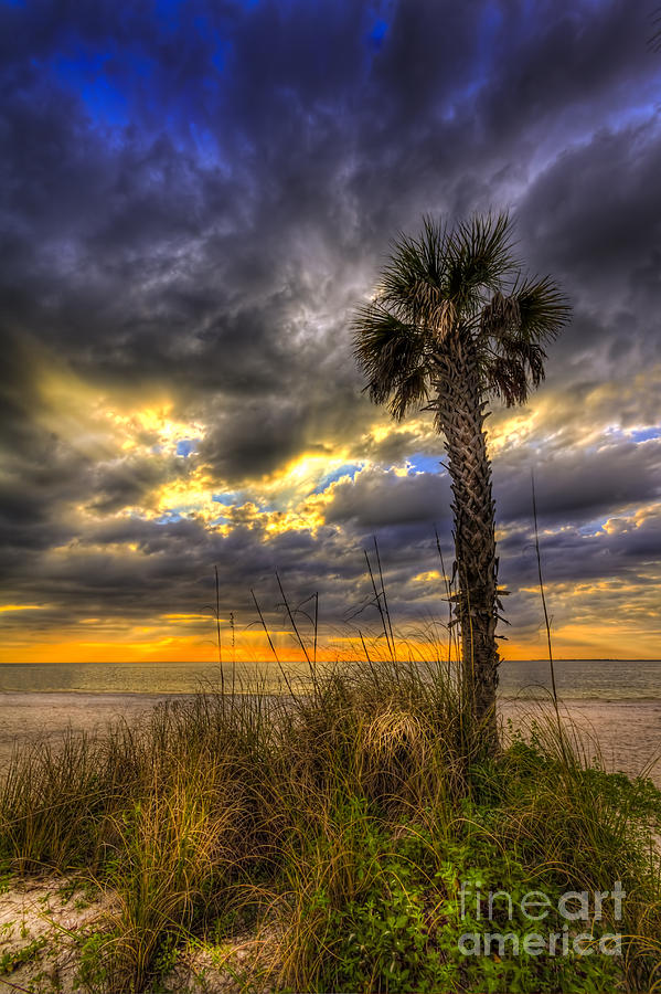Long Beach Photograph - This Is Your Spot by Marvin Spates