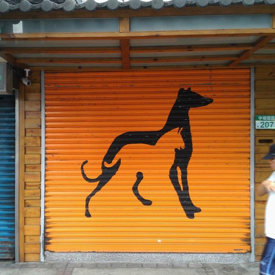Dog Photograph - This Isnt Just A Pet Shop Storefront by Klaus Bardenhagen