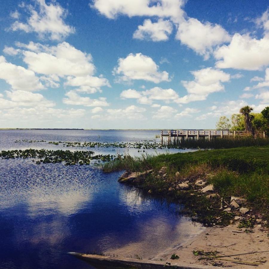 Everglades Photograph - This Looks Like A Postcard by Katelyn Croniser