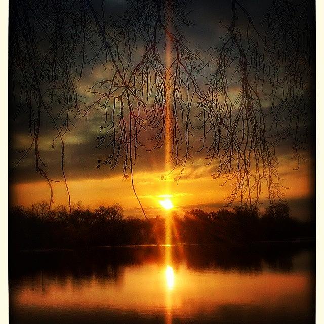 Nature Photograph - This Mornings Sunrise Across Thread by Douglas Carey