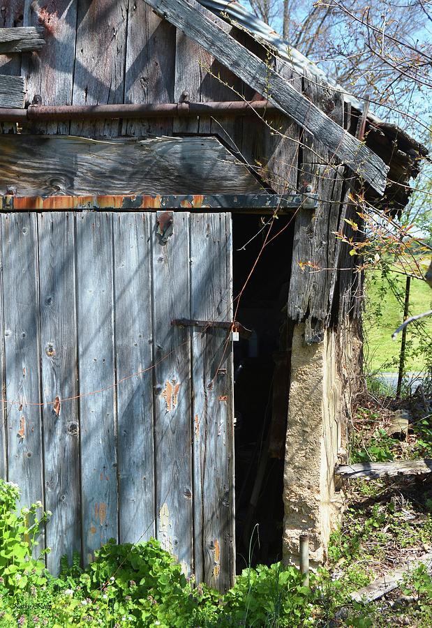 This Old Barn Door Photograph by Kathy Kelly