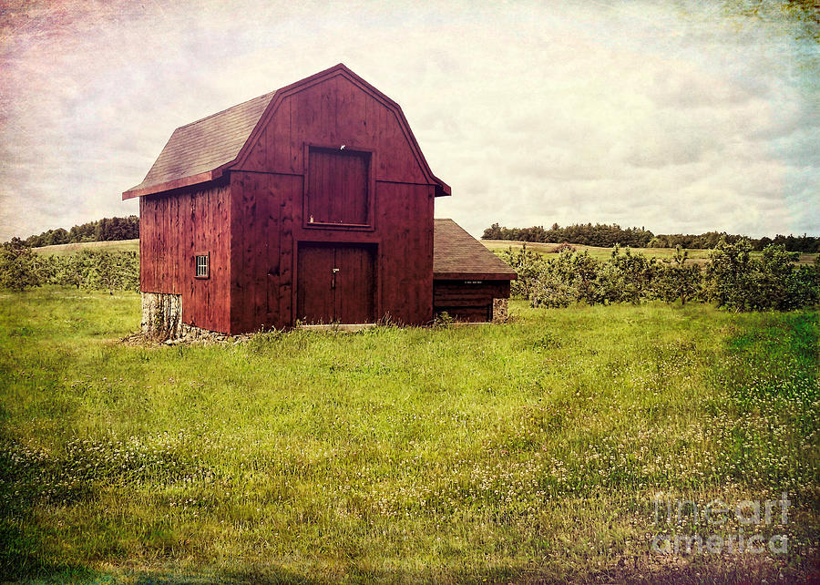 This Old Barn Photograph by Janice Drew