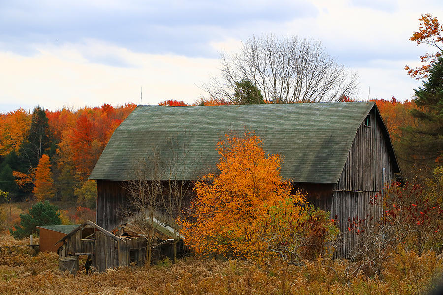 This Old Barn by Rick Morgan This Old Barn by Rick Morgan