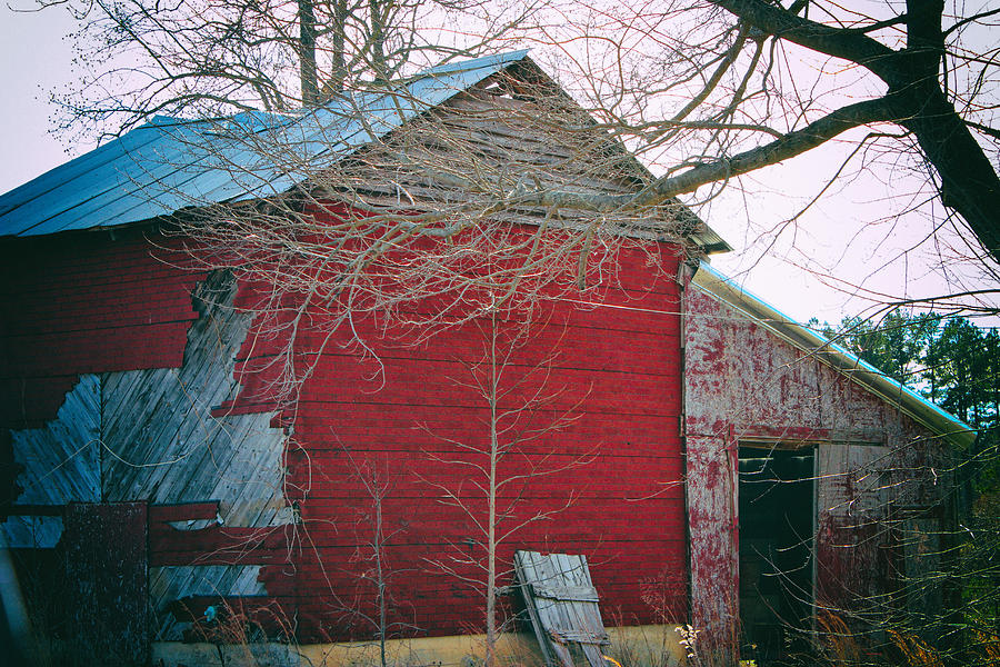 This Old Barn Photograph by Roberta Byram