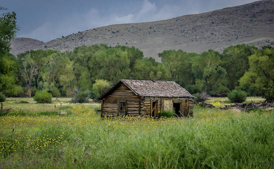 This old Cabin Photograph by Jaime Mercado