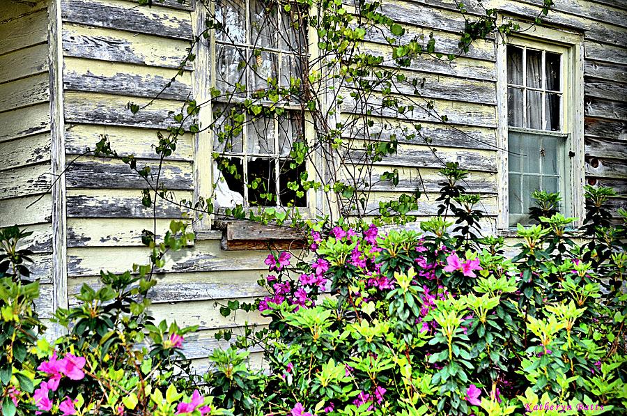 This Old House Digital Art by Katheryn Batts