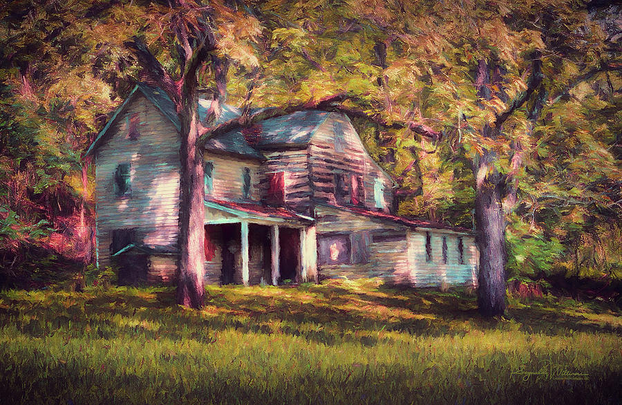 This Old House Photograph by Reynaldo Williams