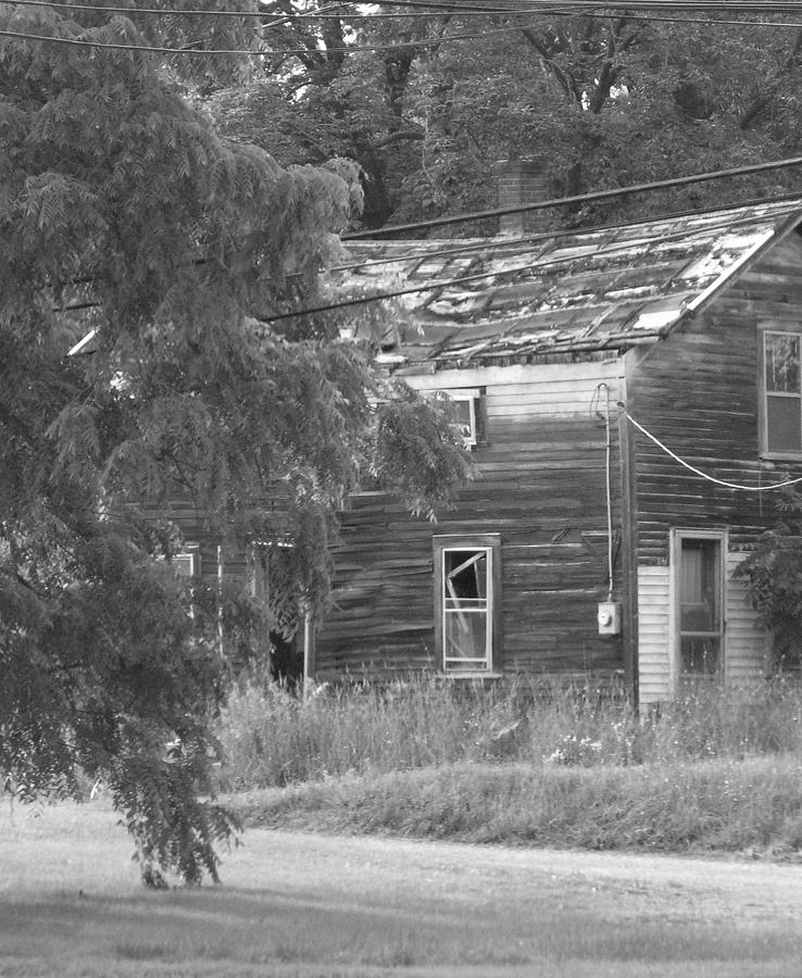 This Old House Photograph by Rhonda Barrett