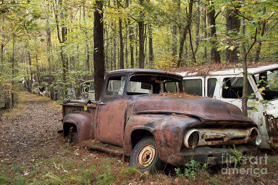 This Old Truck Photograph by Linda D Lester - Fine Art America