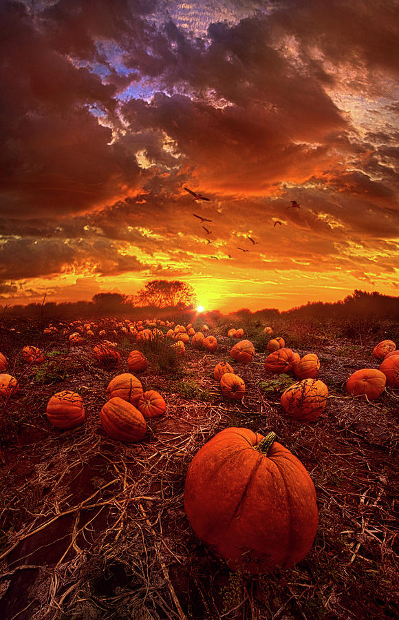 This Our Town of Halloween Photograph by Phil Koch