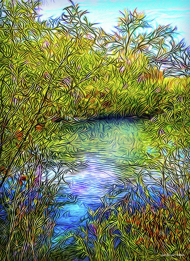 This Reflective Moment Digital Art by Joel Bruce Wallach