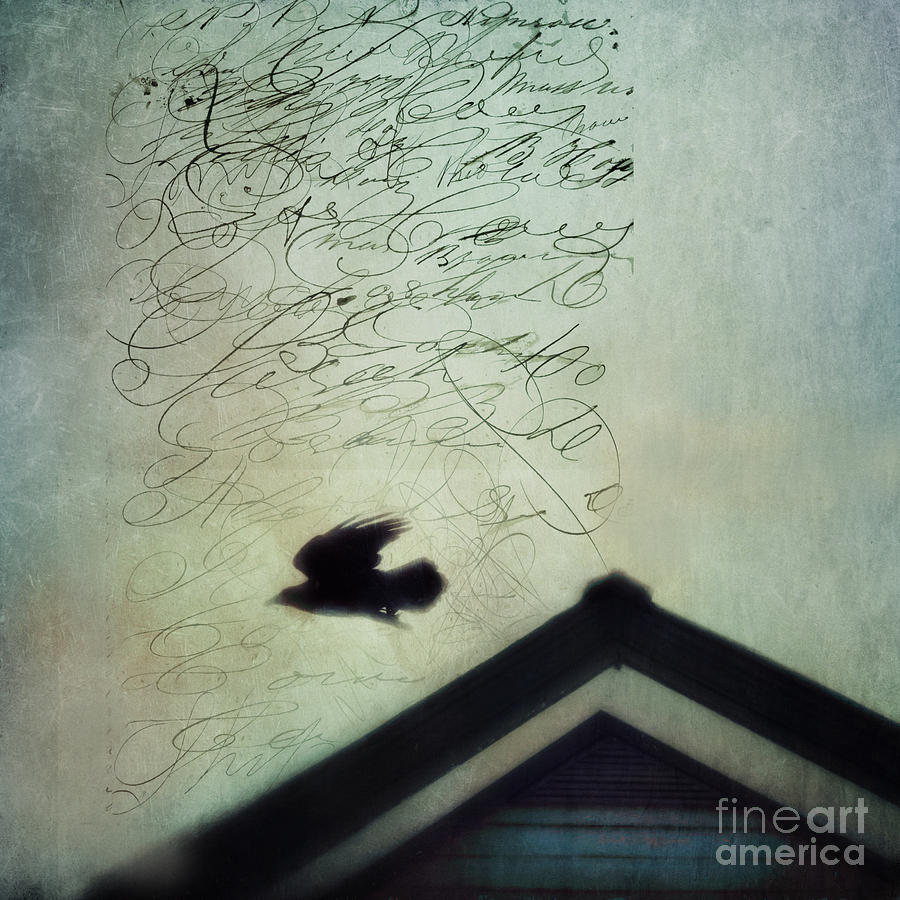 Raven Photograph - This roof is my home by Priska Wettstein