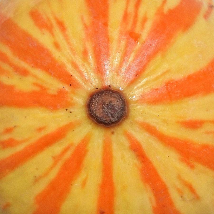 Nature Photograph - This Squash Has Been Sitting On My by The Texturologist