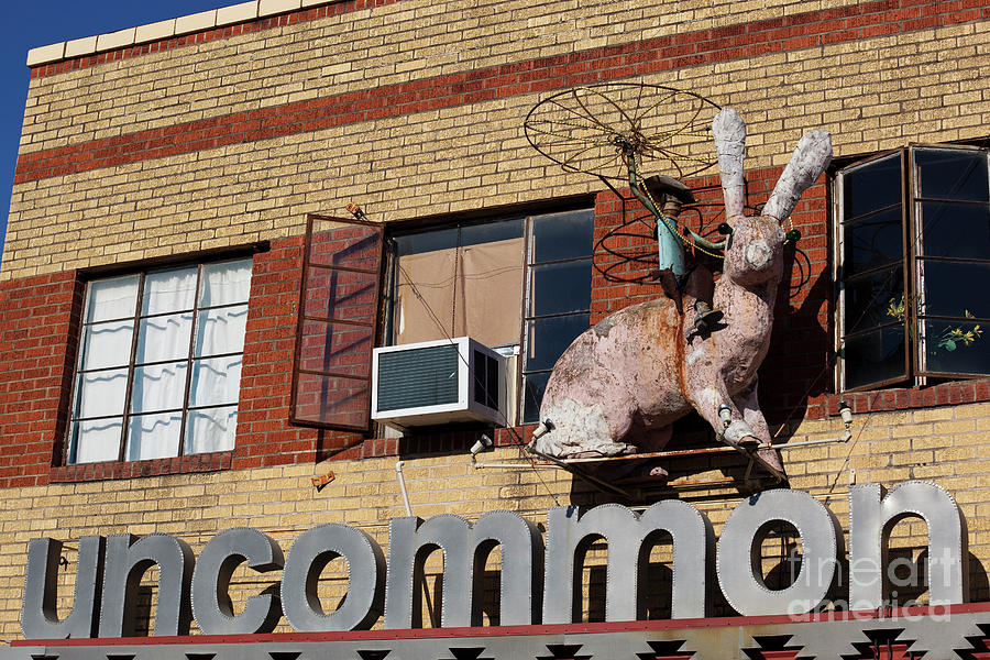 Austin Photograph - This Unusual Store Signage belongs to Uncommon Objects on South Congress by Dan Herron
