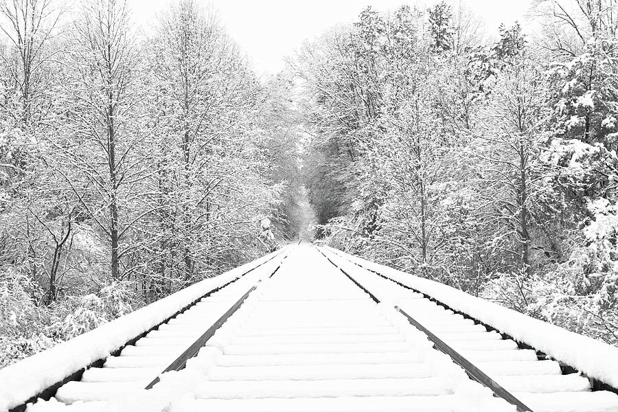 This Way to Winter Photograph by Benanne Stiens