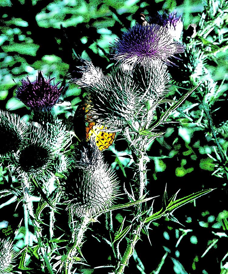 Thistle Butterfly and Bees Digital Art by Cliff Wilson