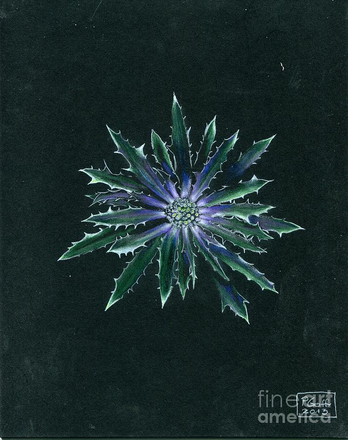 Thistle by Penrith Goff Thistle by Penrith Goff