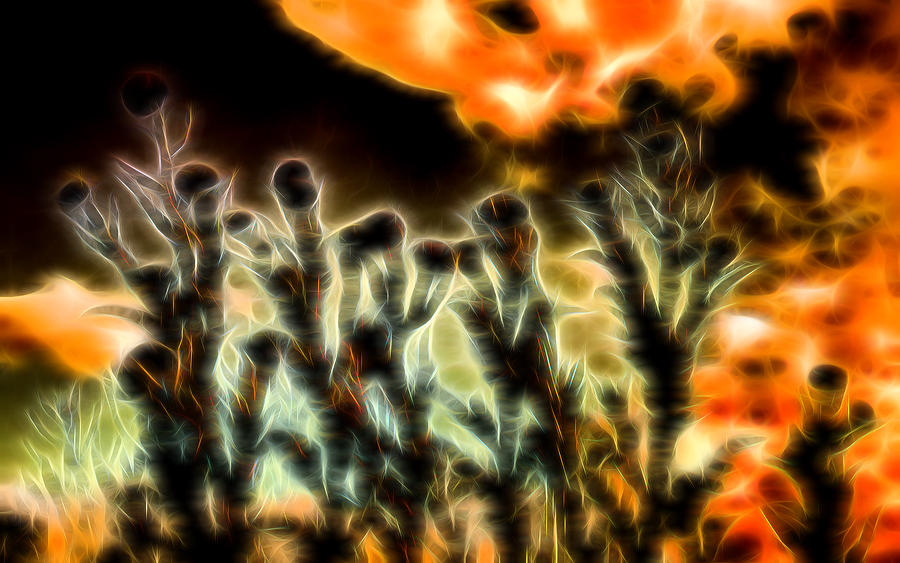 Thistles and Fire Digital Art by Cathy Anderson