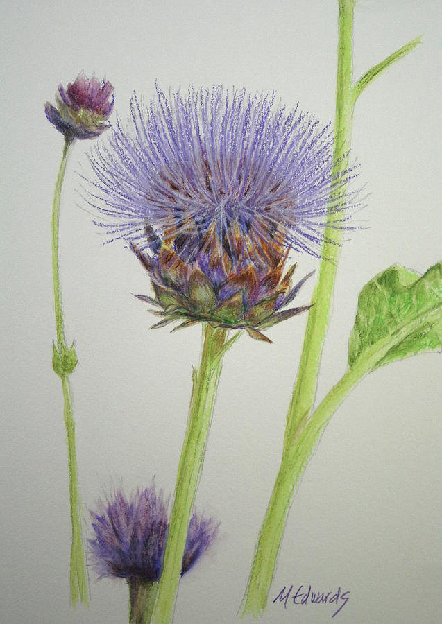 Thistles Painting by Marna Edwards Flavell