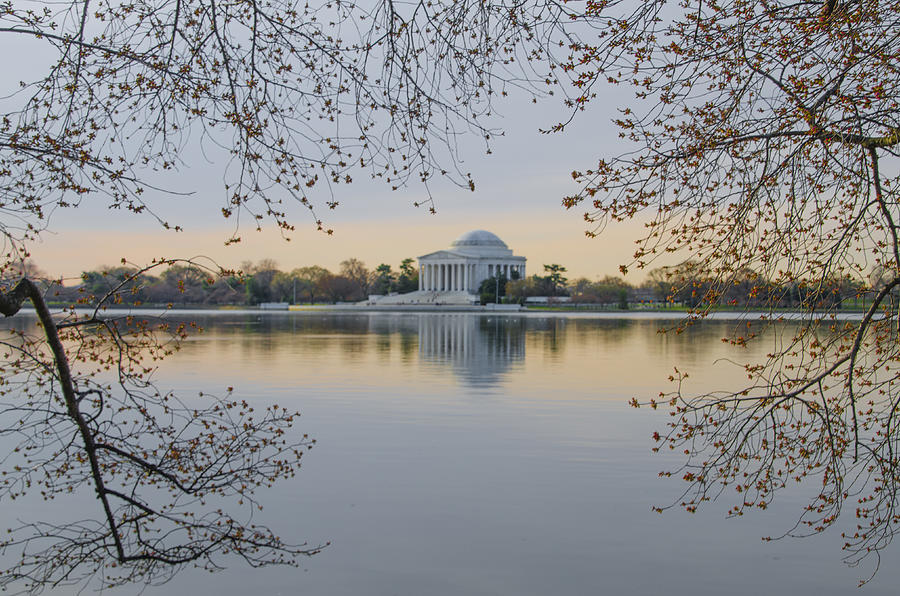 Spring Photograph - Thomas Jefferson Memorial in Spring by Bill Cannon