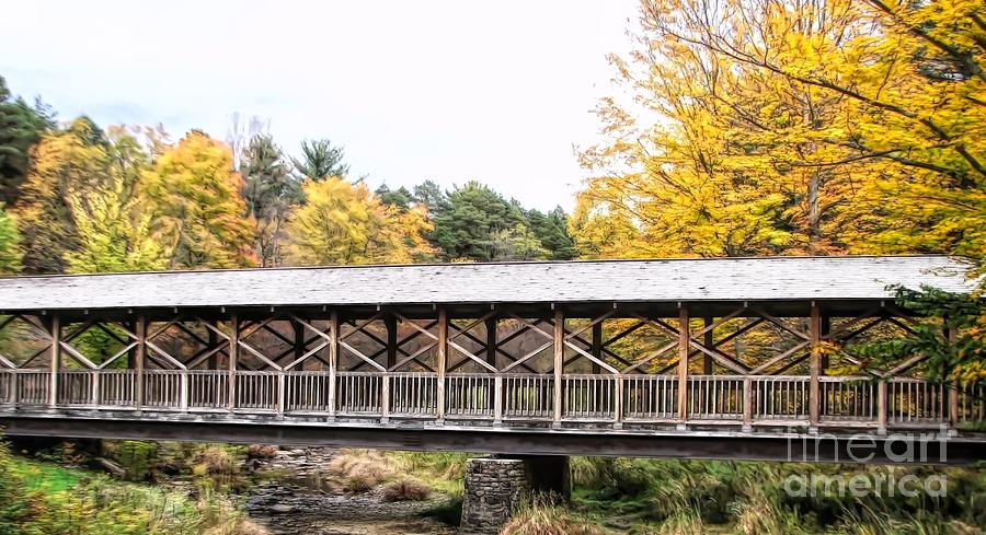 Thomas L Kelley Covered Bridge at Allegany State Park in NYS Abstract Photograph by Rose Santuci-Sofranko