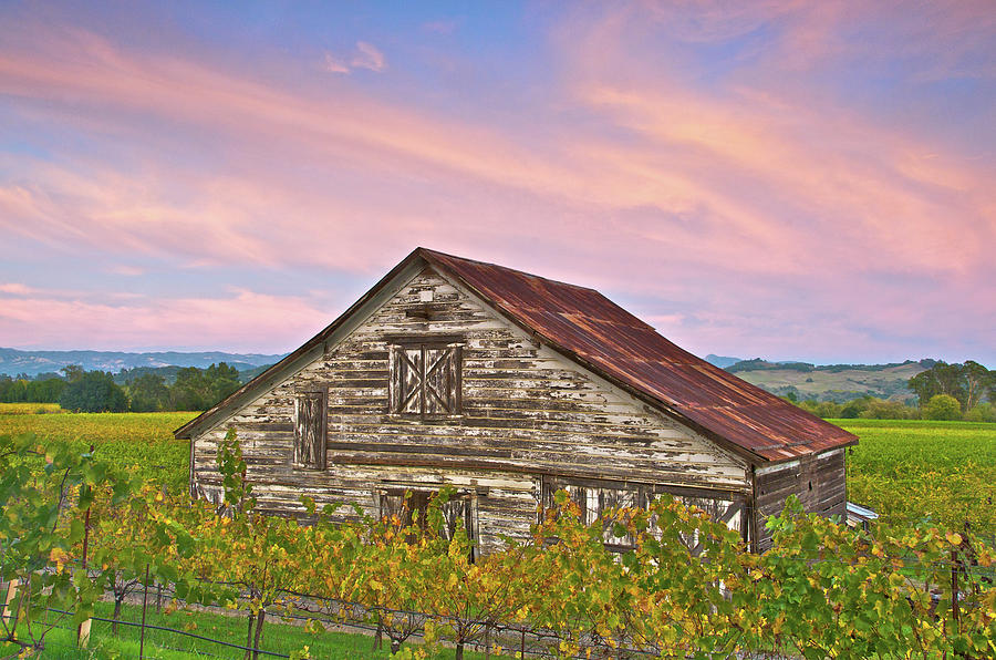 Thompson Barn Photograph by John Annesley - Fine Art America