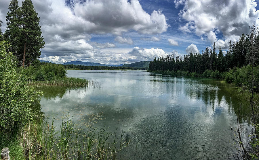Thompson Lake in the Summer Photograph by Teresa Wilson