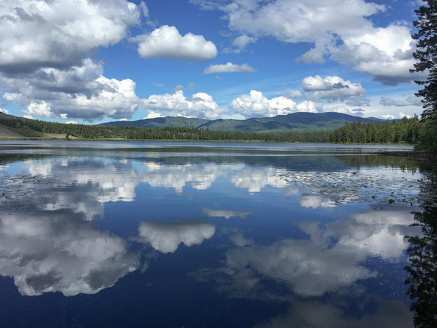 Thompson Lake Reflection Photograph by Teresa Wilson