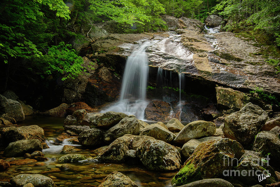 Thompson Waterfall, New Hampshire Photograph by Alana Ranney