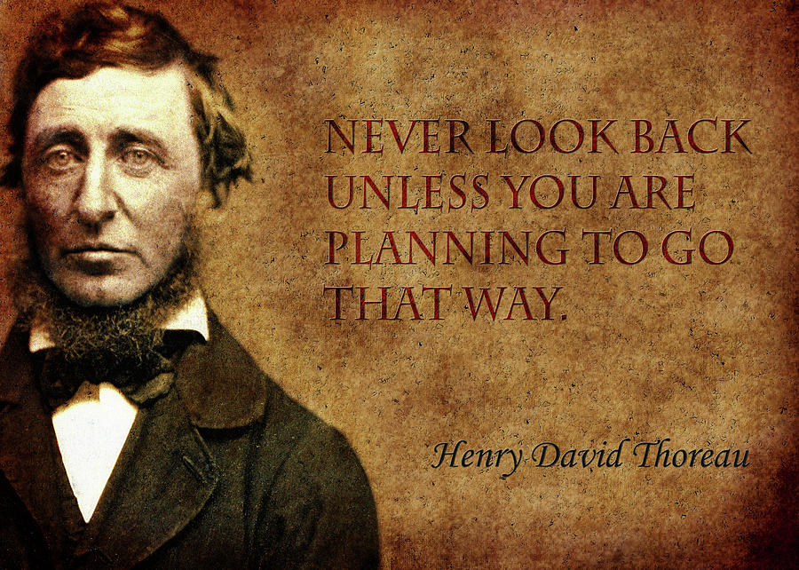 Thoreau Quote 2 Photograph by Andrew Fare