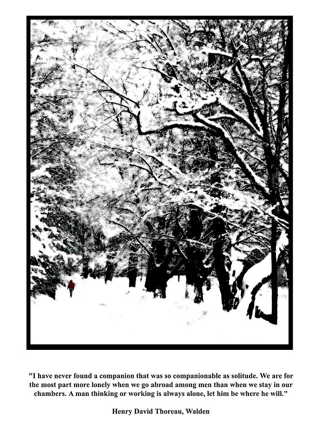 Thoreau Solitude Poster Photograph by Wayne King